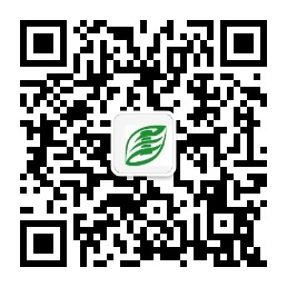 微信公众号